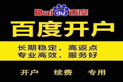 SEM公司案例研究：数据驱动营销策略